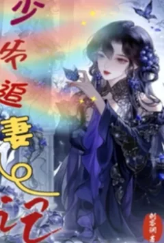 少爷追妻记(1V1)